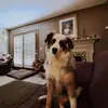debraosborn81 - @debra.osborn0 - TikTok