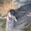 Debra Osman - @debra.osman - TikTok