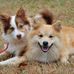 Debbie Ostrander - Facebook
