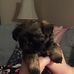 Deborah Ostrander - Facebook