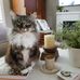 Deborah Ostrander - Facebook