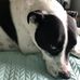 Deb Oswald - Facebook