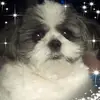 Deb Oswald - @deboswald - TikTok
