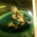 Debra Ottwell - Facebook