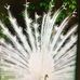 Debra Overfield - Facebook