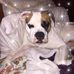 Debra Owsley - Facebook