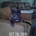 Debra Palermo - @coralcamper - Instagram
