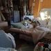 Debra Palermo - Facebook