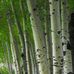 Debra Palmquist - Facebook