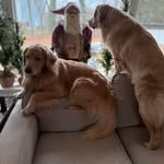 Debra Palumbo - @debra_palumbo - Instagram
