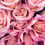 Debra Pando - @debrapando0221 - Instagram