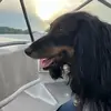 debraparadowski8 - @debraparadowski8 - TikTok
