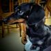 Debra Martindale Parham - Facebook