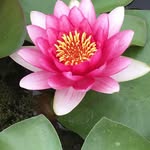 Debra Milan - @debra.paris.73 - Instagram
