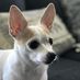 Deborah Parkhurst - Facebook