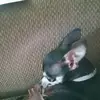 Debra Parks - @debra.parks19 - TikTok