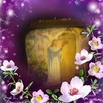 Debra Parks - @debra.parks.395 - Instagram