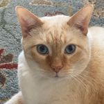 Debra Parrish - @pardeb99 - Instagram