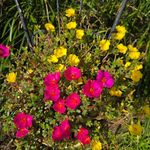 Debra Parrish - @debra.parrish.37853 - Instagram
