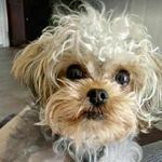 Debra Parrish - @dexter_j_parrish - Instagram
