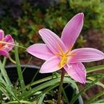 Deborah Parton - @deborah.parton - Instagram
