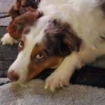 Debra Parton - @debraparton - Instagram