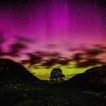 Debra Parton - @debra.parton.98 - Instagram