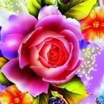 @debrapaschall6897 - Instagram