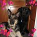 Debra Paschke - Facebook