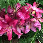Debra Paschke - @debpaschke - Instagram