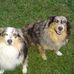Debra Ann Pedersen - Facebook