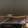 Debra Perdue - @debra.perdue8 - TikTok