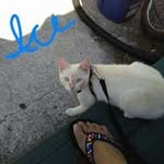 Debra Perkins - @eqchinglea - Instagram