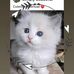 Debra Ann Piazza - Facebook