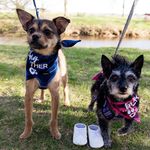 Debra Caroline Williamson - @debrapickens - Instagram