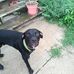 Debra Pickens - Facebook