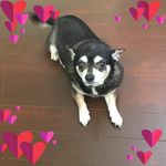 Debra Pickering - @pickering8212 - Instagram