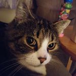 Debra Pickering - @debbiepickering323 - Instagram