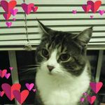 Debra Pickering - @debra.pickering.75 - Instagram