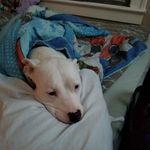 Debra Pickering - @pickering8864 - Instagram