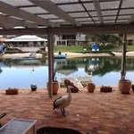 Debra Pinkerton - @pinkertondebra - Instagram