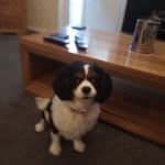 Debra Piper - @debra.piper.98 - Instagram