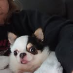 Debra Pizzo - @pizzo.debra - Instagram