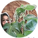 Desirè - @debra.plants - Instagram