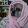 debra plaster - @debraplaster8 - TikTok