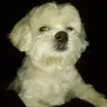 Debra Player - @cheeks4203 - TikTok