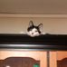 Deborah Plourde - Facebook