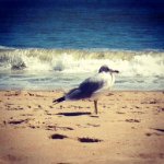 Debra Walker-Plunkett - @djwp - Instagram