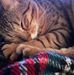 Debbie Poling - Facebook