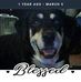 Debra Pollard - Facebook